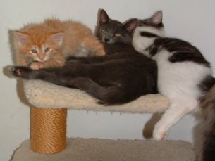 Resting after a hard day's work!